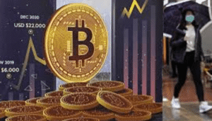 The Growth of Cryptocurrency Over Time
